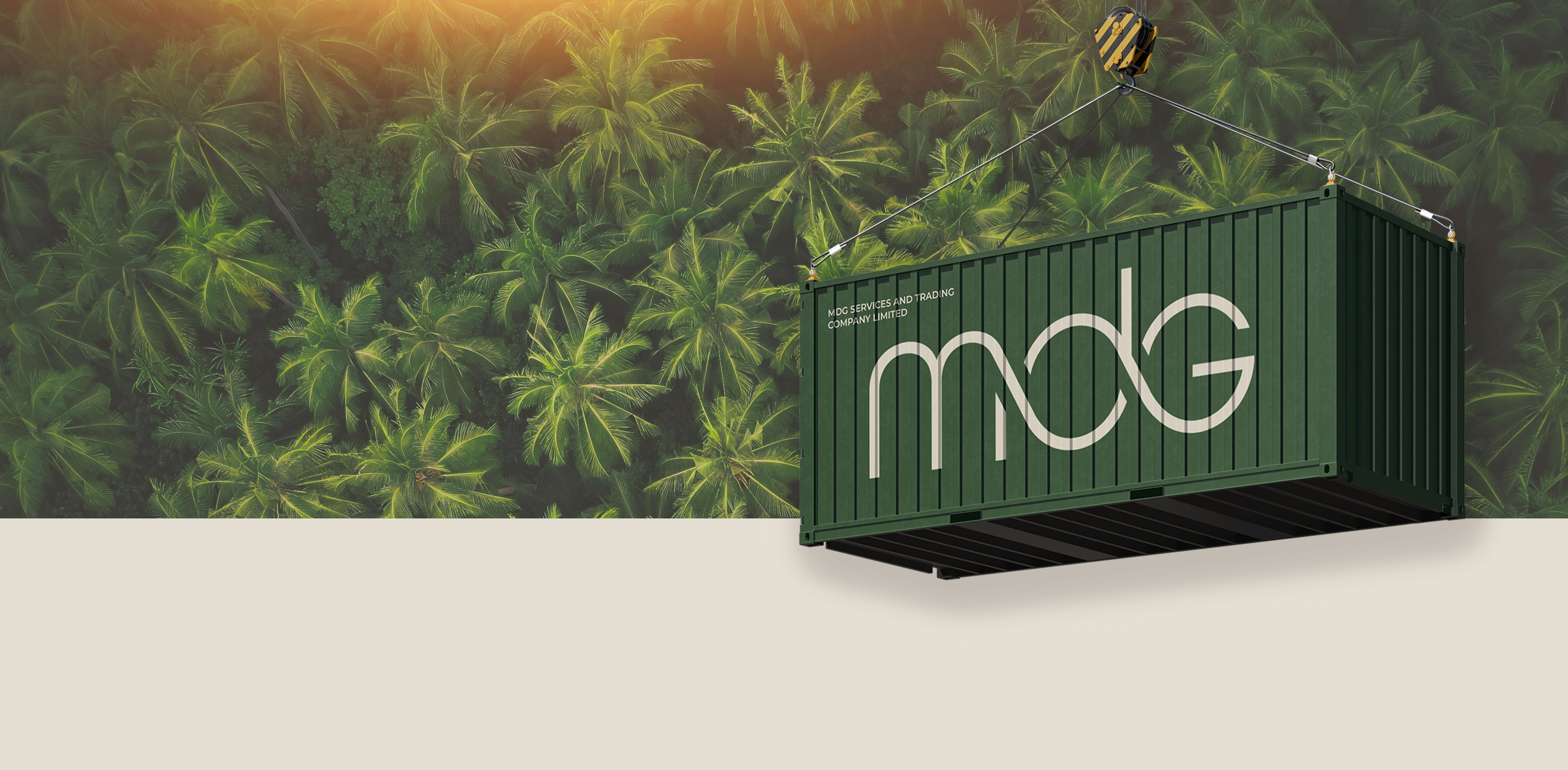 MDG SERVICES AND TRADING COMPANY LIMITED